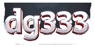 dg333 logo